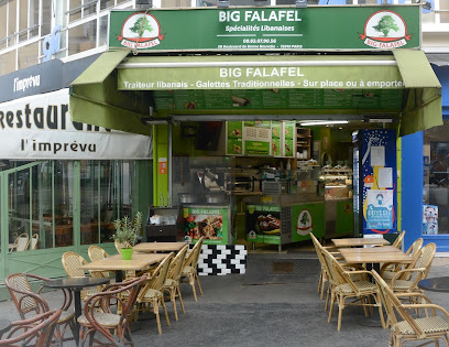 Big Falafel