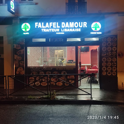 Falafel Damour