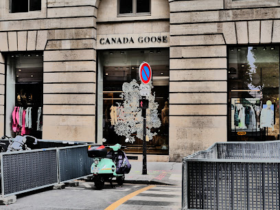 Canada Goose