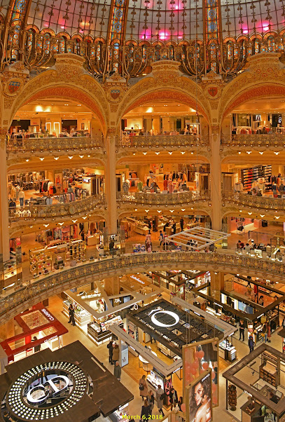 Miu Miu Paris Lafayette Shoes